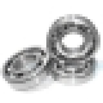 Stainless Steel Bearing